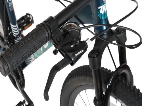 Mountain Bike Flamingo Aluminio R29 21vel Alum Azul/Blanco/verde