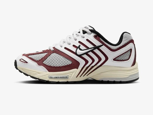 Nike Air Pegasus 2005