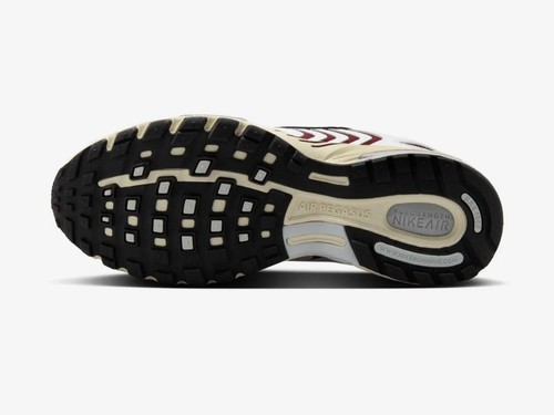 Nike Air Pegasus 2005