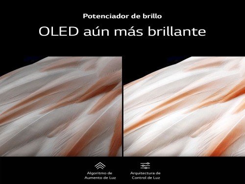 TV OLED AI 65" │ UHD 4K │ Procesador Alpha 8 2da Gen con IA