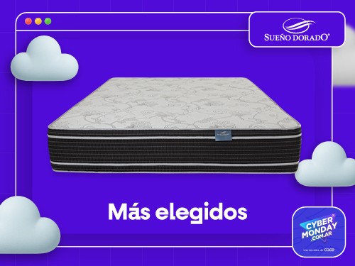 COL REMBRANDT TRAD 140X190