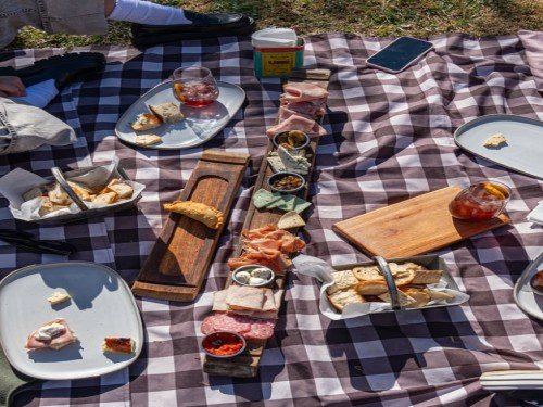 Picnic y vino en Mendoza