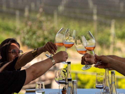 Picnic y vino en Mendoza