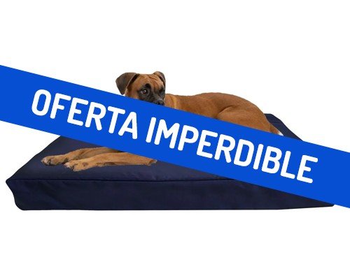 Cama Colchoneta para Mascotas Antidesgarro 75x50cm Azul
