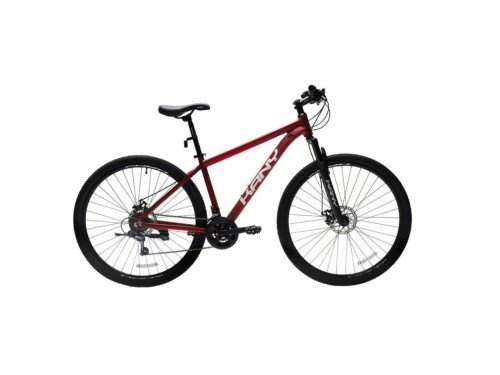 BICICLETA BRAND R29
