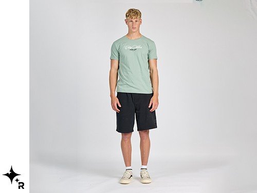 REMERA ESTAMPADA CITY VIBES REVER PASS