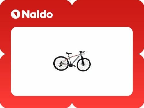 Bicicleta Fire Bird R29 Bin29-21mgpp 21v Mtb Freno Disco