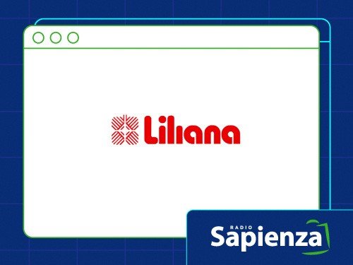 VENTILADOR LILIANA PIE VPHP2416 HIGH PERF.