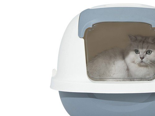 Bandeja sanitaria cerrada para gato