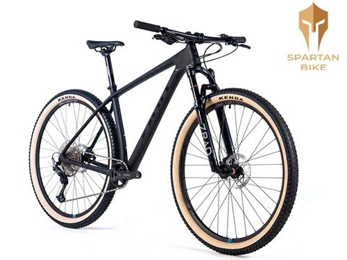 Bicicleta Zion Diablo 2 12 volcidades carbono