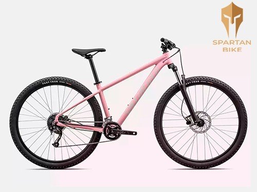 Bicicleta MTB Specialized Rockhopper Sport 12 velocidades rodado 29